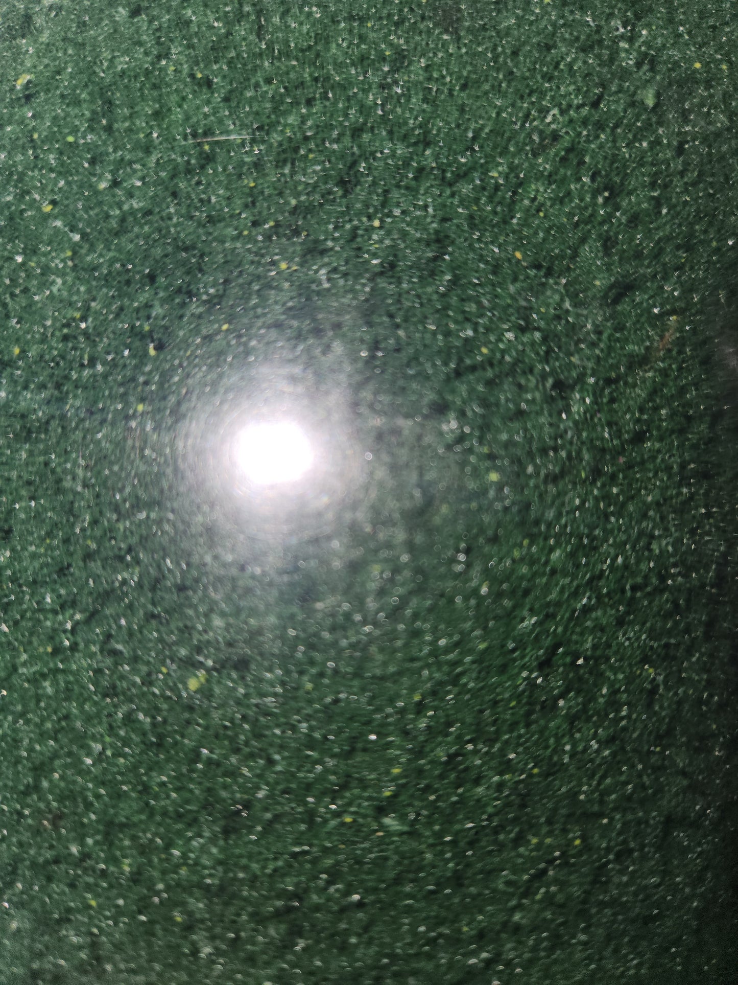 Ground up Foliage Deep Green 50gms