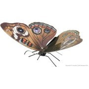 Metal Earth - BUTTERFLY BUCKEYE FCMM-BBK