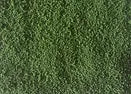 Ground Up Scenery Fine Scatter Medium Green 100gm