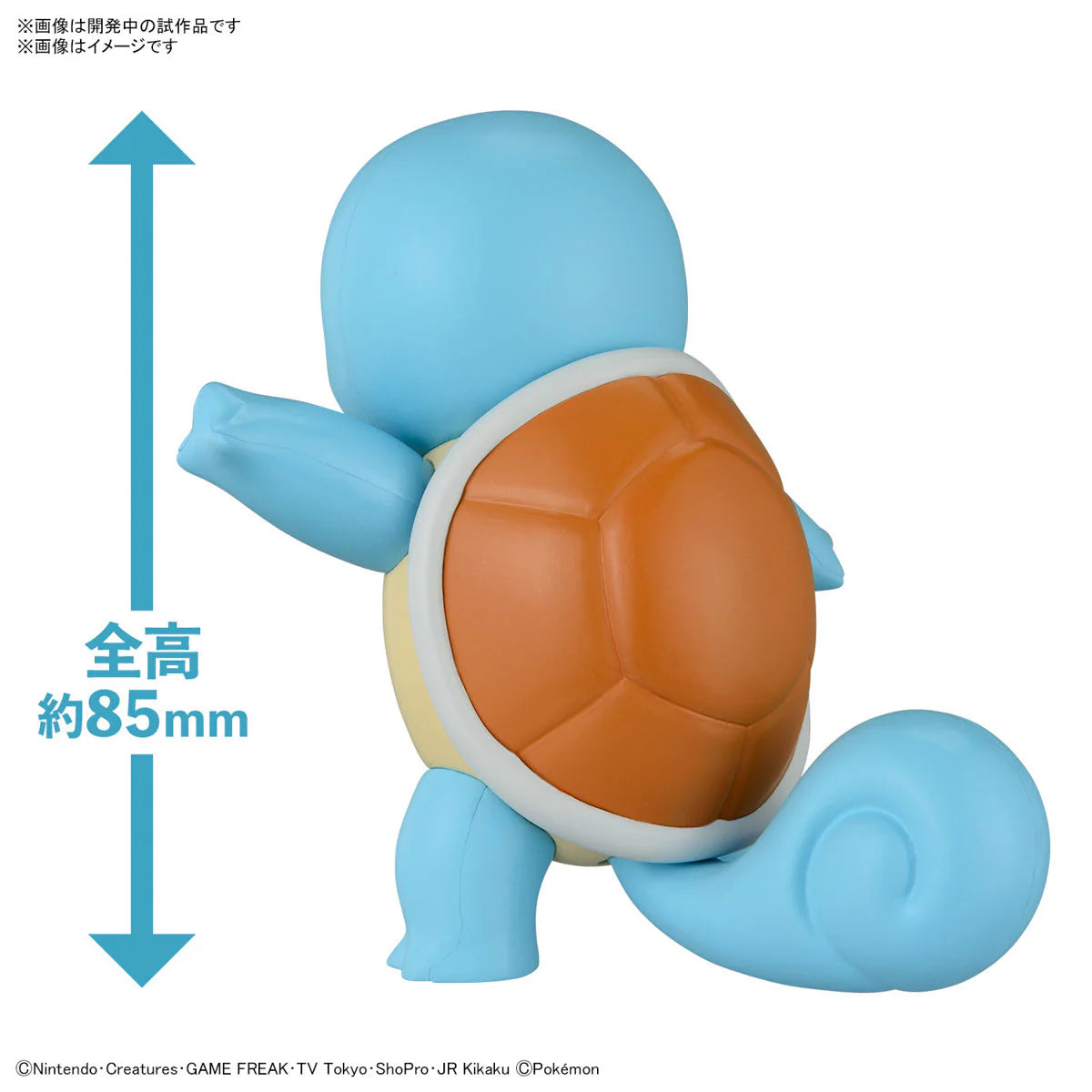 Bandai Pokemon Model Kit QUICK!! 17 SQUIRTLE G5066018