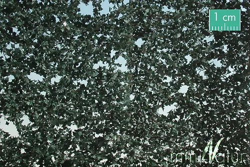 MIni Nature Foliage Small Ivy