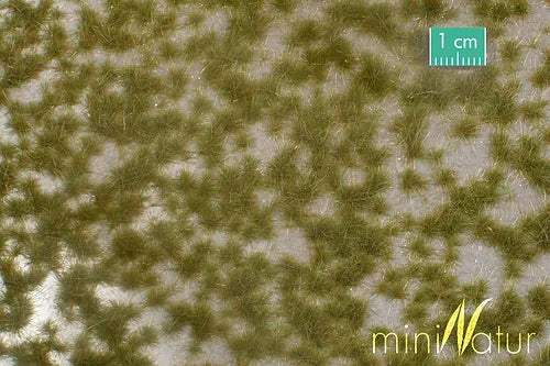 Mini Nature Grass Tufts Early Autumn Wild Grass 4mm (1pce) 737.23S