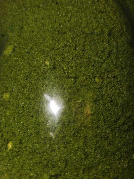 Ground Up Foliage Light Green 50gms