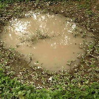 AK Interactive Dioramas PUDDLES 60ml (Acrylic) AK8028
