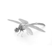 Metal Earth DRAGON FLY FCMM-DF