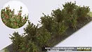 Martin Welberg Bushes Type A Red