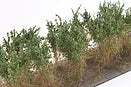 Martin Welberg Bushes Type C Dark Green