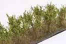 Martin Welberg Bushes Type C Orange