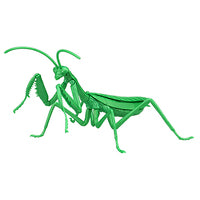 Fujimi Biology Edition BIG MANTIS  FUJ17111