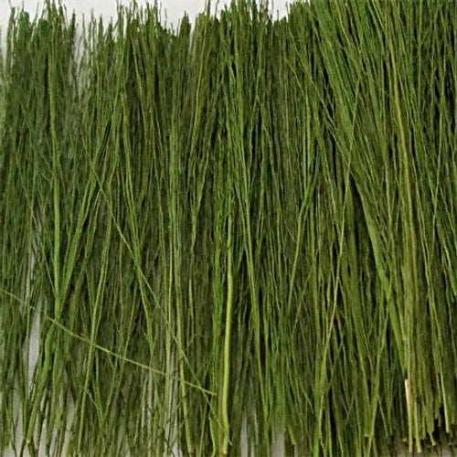 MP Scenery Field Grass Light Green