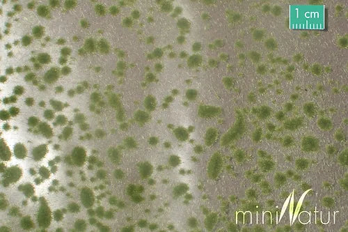 Mini Nature Grass Tufts Early Autumn Moss (1pce)