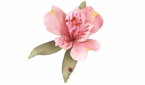 Woodland Scenics Pollen Red WS-T4647