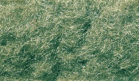 Woodland Scenics Flock MEDIUM GREEN (Shaker) WS-FL635