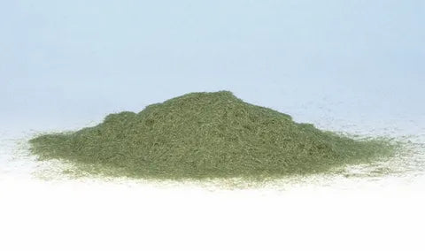 Woodland Scenics Flock MEDIUM GREEN (Shaker) WS-FL635