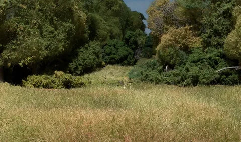 Woodland Scenics Woodland Scenics PLANT HUES WS-FS629