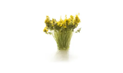 Woodland Scenics Tufts LIGHT GREEN PRAIRIE GRASS WS-FS776