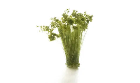 Woodland Scenics Tufts MEDIUM GREEN PRAIRIE GRASS WS-FS777